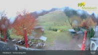 Archiv Foto Webcam Medebach: Skigebiet Schlossberg 14:00