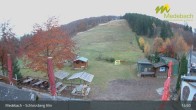 Archiv Foto Webcam Medebach: Skigebiet Schlossberg 14:00