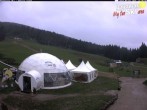 Archiv Foto Webcam Paganella: Berghütte Meriz 11:00