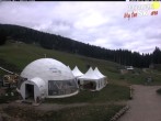Archived image Webcam Paganella: Meriz Mountain Lodge 08:00