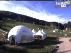 Archived image Webcam Paganella: Meriz Mountain Lodge 08:00