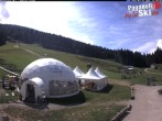Archived image Webcam Paganella: Meriz Mountain Lodge 11:00