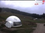 Archiv Foto Webcam Paganella: Berghütte Meriz 09:00