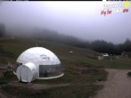Archiv Foto Webcam Paganella: Berghütte Meriz 11:00