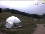 Archiv Foto Webcam Paganella: Berghütte Meriz 13:00