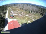 Archived image Webcam Rennsteigwarte nearly Masserberg 11:00