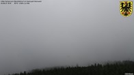 Archiv Foto Webcam Naturpark Steinwald im Fichtelgebirge 09:00