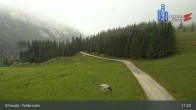 Archiv Foto Webcam Feldernalm in Ehrwald 16:00