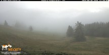 Archiv Foto Webcam Lienz: Blick auf die Meckisalm bei Zettersfeld 11:00