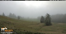 Archiv Foto Webcam Lienz: Blick auf die Meckisalm bei Zettersfeld 13:00