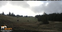 Archived image Webcam Mecki&#39;s Alm Zettersfeld 07:00