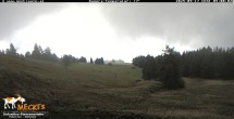 Archived image Webcam Mecki&#39;s Alm Zettersfeld 08:00