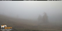 Archiv Foto Webcam Lienz: Blick auf die Meckisalm bei Zettersfeld 15:00