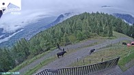 Archived image Webcam Hochsteinhütte Lienz 15:00