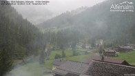 Archiv Foto Webcam Villgraten: Alfenalm 11:00