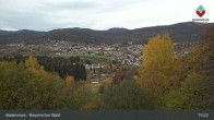 Archived image Webcam Bodenmais Lower Bavaria 14:00