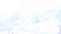 Archiv Foto Webcam Märchenpark Marquartstein im Chiemgau 05:00