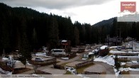 Archived image Webcam Caravanpark of Sexten - Moos 11:00