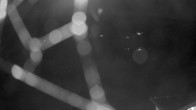 Archiv Foto Webcam Pressegger See: Schluga Strandbad 05:00