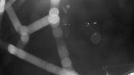 Archiv Foto Webcam Pressegger See: Schluga Strandbad 21:00
