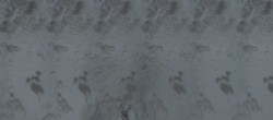 Archiv Foto Webcam Jungfraujoch-Panorama 19:00