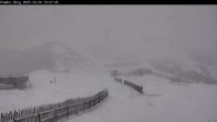 Archived image Webcam Shuttleberg: Top Station Powder Shuttle 13:00