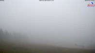 Archiv Foto Webcam Großer Arber: Nordhang 11:00