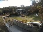 Archiv Foto Webcam Sommerrodelbahn Peterberg 07:00