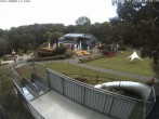 Archiv Foto Webcam Sommerrodelbahn Peterberg 09:00