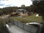 Archiv Foto Webcam Sommerrodelbahn Peterberg 11:00