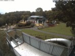 Archiv Foto Webcam Sommerrodelbahn Peterberg 08:00
