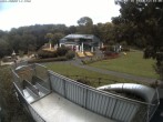 Archiv Foto Webcam Sommerrodelbahn Peterberg 11:00
