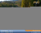 Archiv Foto Webcam Skigebiet Bansko: Shiligarnika 08:00