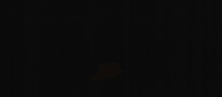 Archiv Foto Webcam Biel Kinzig Panoramablick 05:00