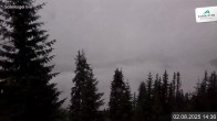 Archiv Foto Webcam Sonnkogel Schmitten 08:00