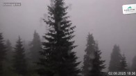 Archiv Foto Webcam Sonnkogel Schmitten 12:00