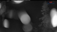 Archiv Foto Webcam Gipfelblick nach Norden, Mont Sainte Anne, Quebec 00:00