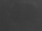 Archived image Webcam Snow Stake Park City 00:00