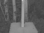 Archived image Webcam Snow Stake Park City 05:00