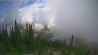 Archiv Foto Webcam Granite Cam (Buffalo Ridge & Grey Mtn) 08:00