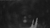 Archiv Foto Webcam Granite Cam (Buffalo Ridge & Grey Mtn) 23:00