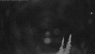 Archiv Foto Webcam Granite Cam (Buffalo Ridge & Grey Mtn) 00:00