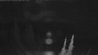 Archiv Foto Webcam Granite Cam (Buffalo Ridge & Grey Mtn) 01:00