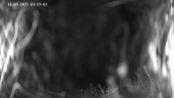 Archived image Webcam Ladurns: Slope Ladurner Alm 01:00