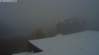 Archived image Webcam Bridger Bowl Base Area 17:00