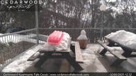 Archiv Foto Webcam Falls Creek: Cedarwood Apartments 11:00