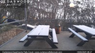 Archived image Webcam Falls Creek - Cedarwood Apartments 05:00