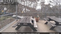Archived image Webcam Falls Creek - Cedarwood Apartments 13:00
