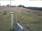 Archived image Webcam Wasenlift - Muggenbrunn Ski Resort 11:00