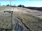 Archived image Webcam Wasenlift - Muggenbrunn Ski Resort 08:00